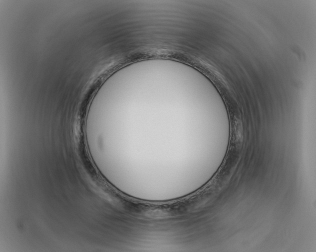 X0000113980494200910020952