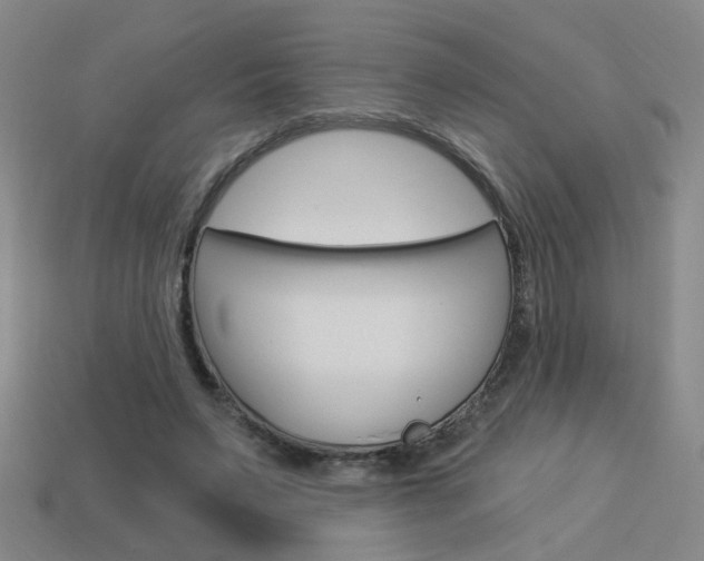 X0000113980495200910020952
