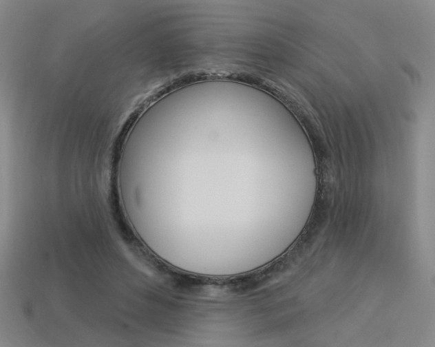 X0000113980496200910020952