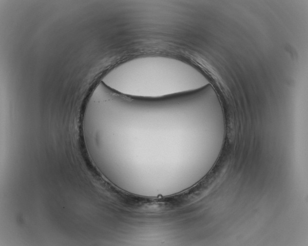 X0000113980497200910020952