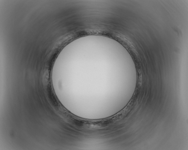 X0000113980498200910020952