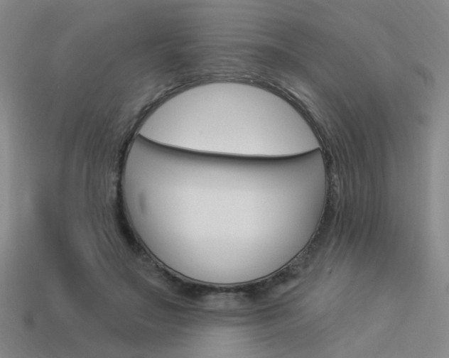 X0000113980499200910020952
