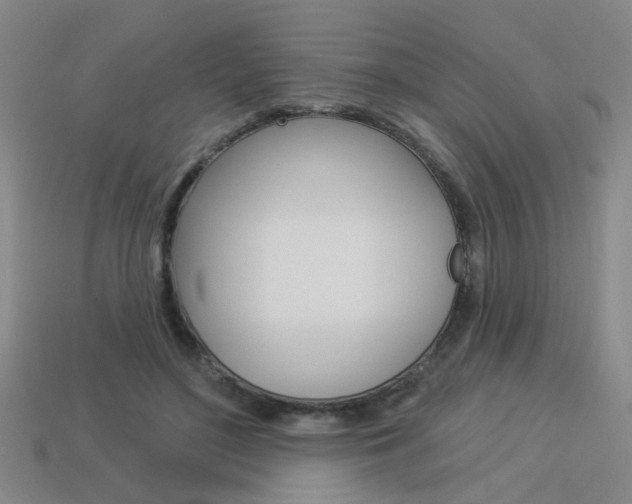 X0000113980500200910020952