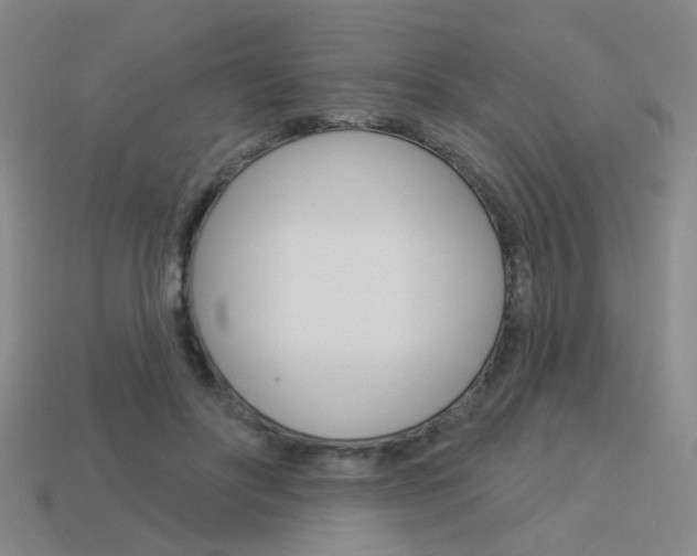 X0000113980502200910020952
