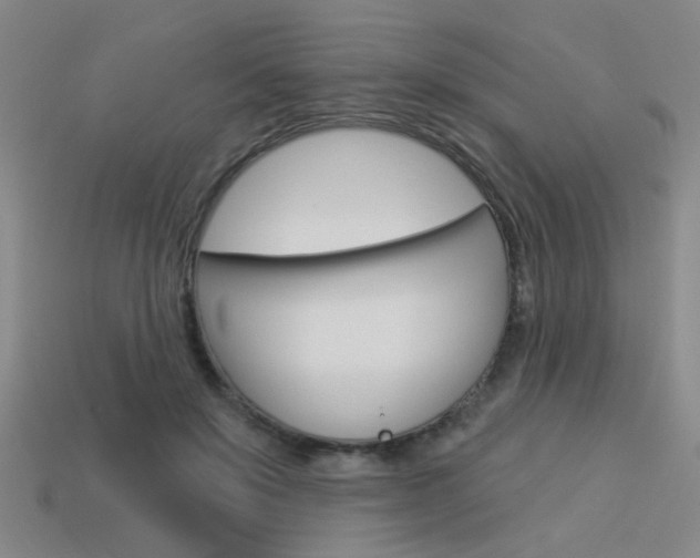 X0000113980503200910020952