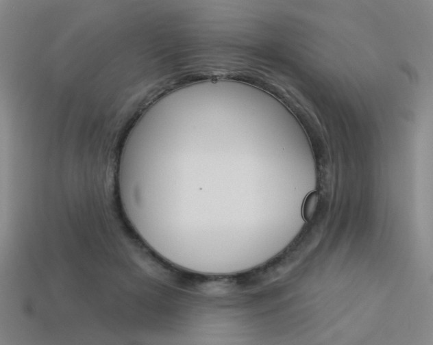 X0000113980505200910020951