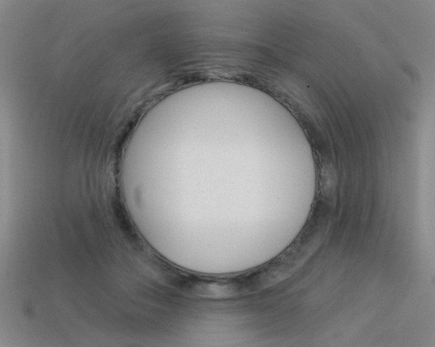 X0000113980506200910020951