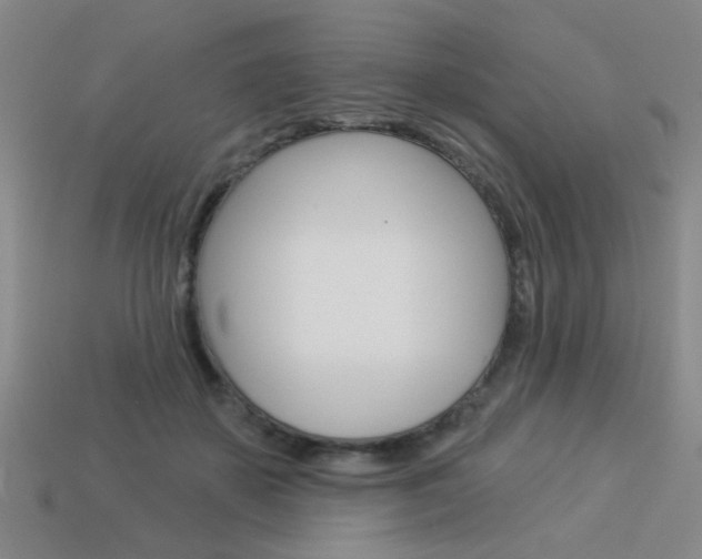 X0000113980507200910020951
