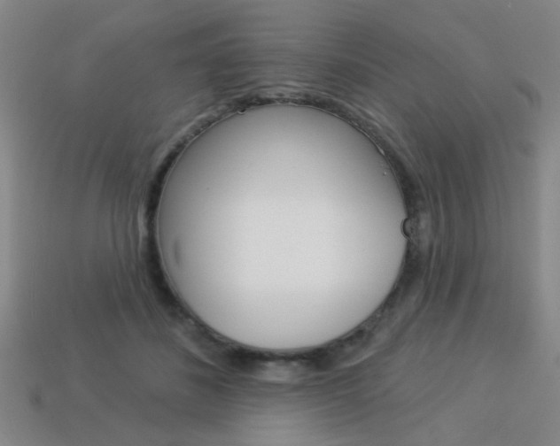 X0000113980508200910020951