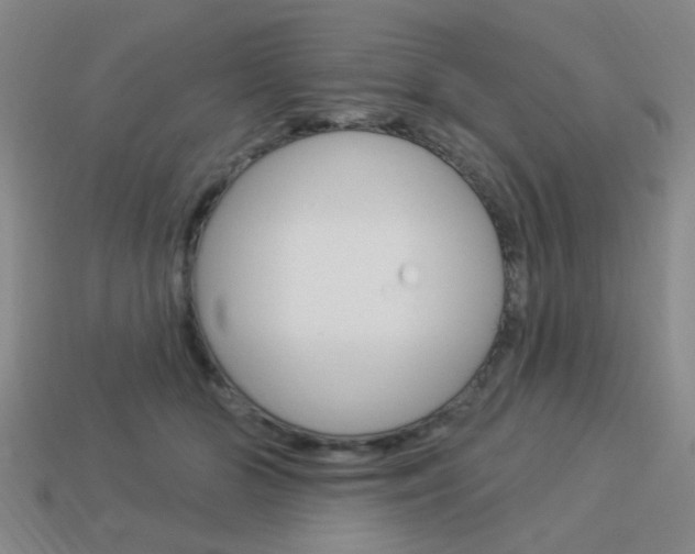 X0000113980510200910020951