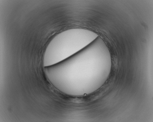 X0000113980511200910020951