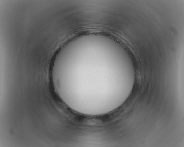 X0000113980512200910020951