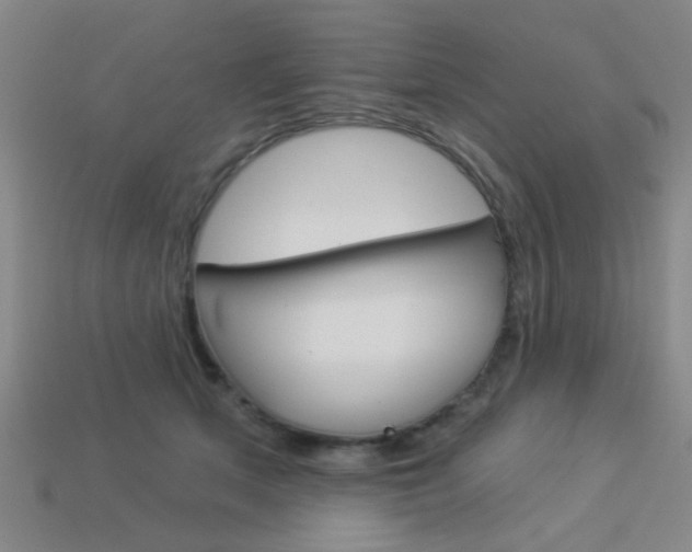X0000113980513200910020951