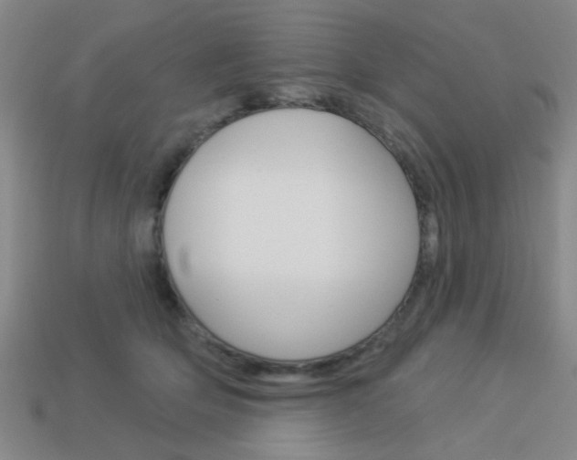 X0000113980514200910020951