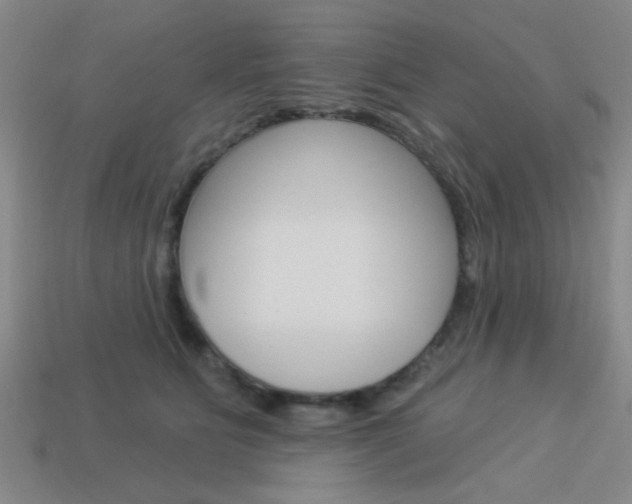 X0000113980515200910020951