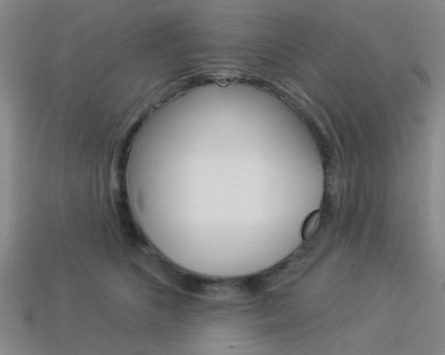 X0000113980516200910020951