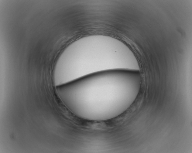 X0000113980517200910020951
