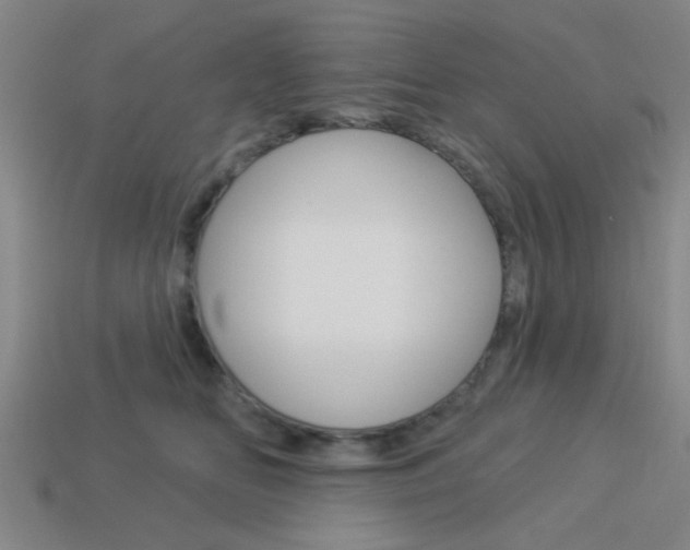 X0000113980518200910020951