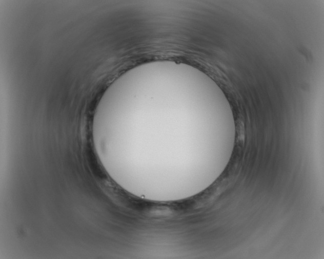 X0000113980519200910020951