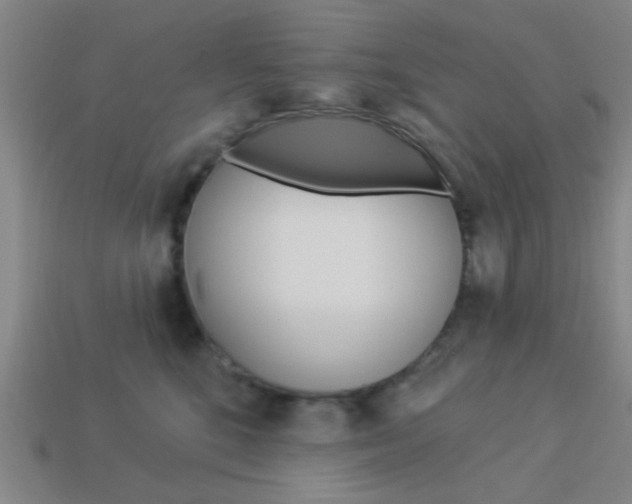 X0000113980520200910020951