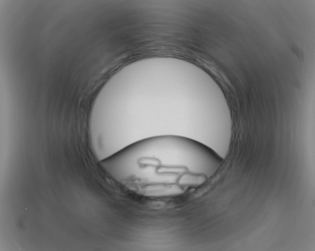 X0000113980521200910020951