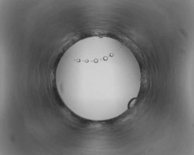 X0000113980523200910020951