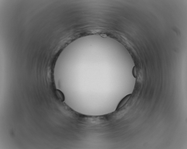 X0000113980524200910020951