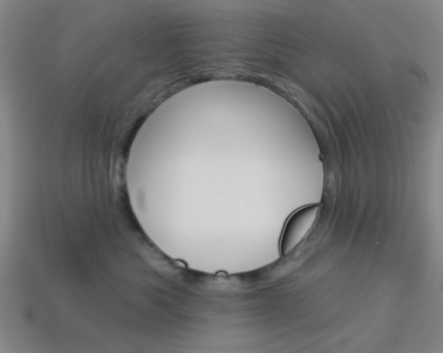 X0000113980525200910020951