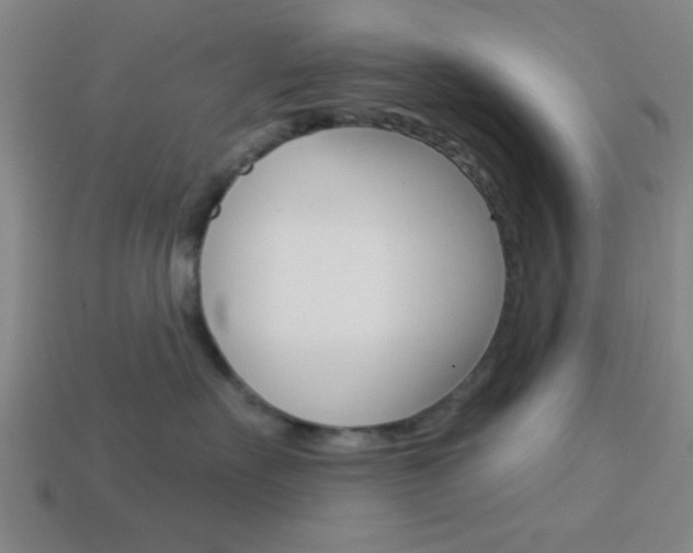 X0000113980527200910020951