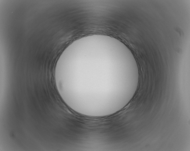 X0000113980528200910020951