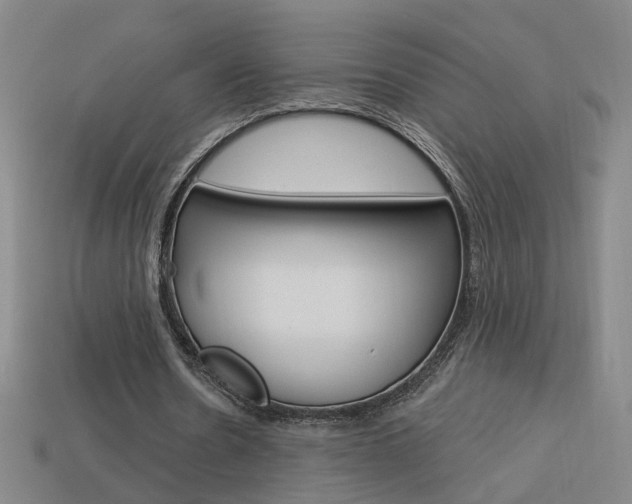 X0000113980530200910020951