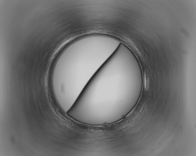 X0000113980531200910020951