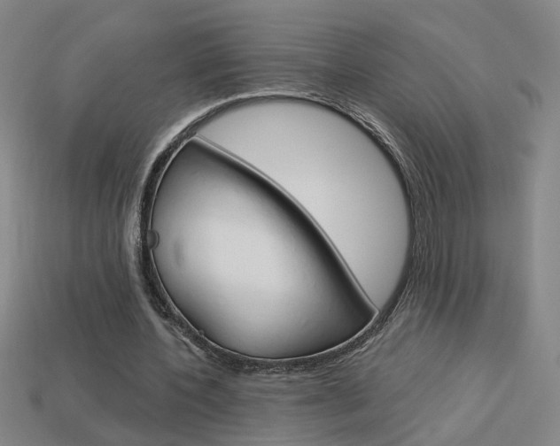 X0000113980532200910020951