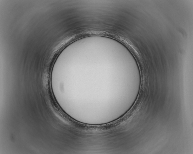 X0000113980533200910020951