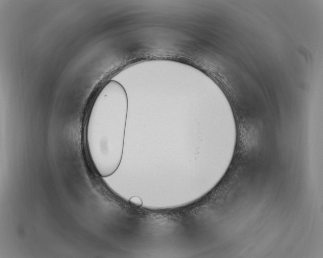 X0000113980534200910020951