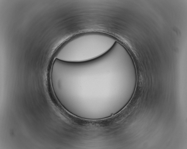 X0000113980535200910020951