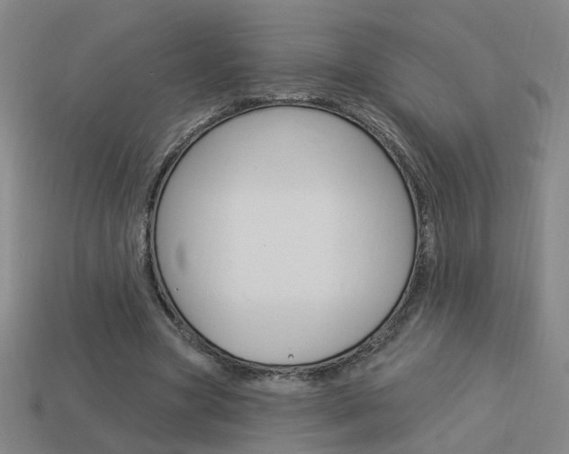 X0000113980537200910020951