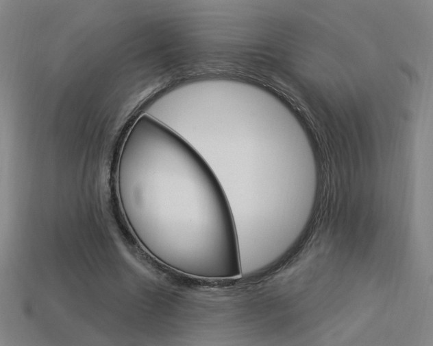 X0000113980538200910020951