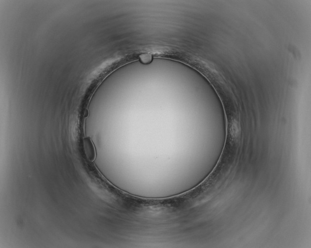 X0000113980540200910020951