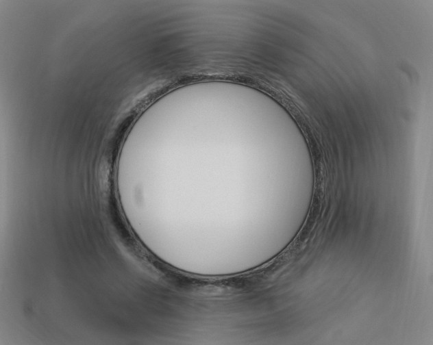 X0000113980542200910020951