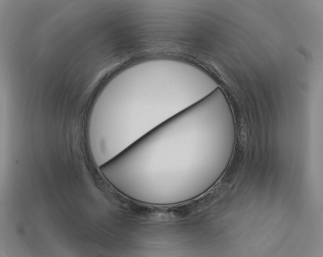 X0000113980543200910020951