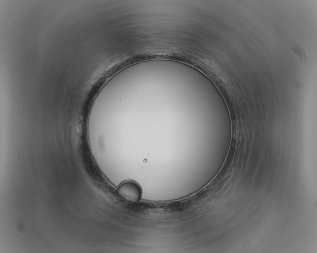 X0000113980544200910020951