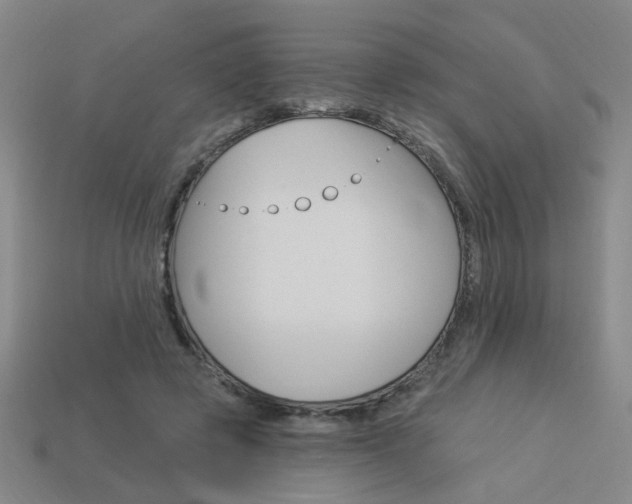 X0000113980545200910020951