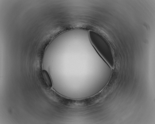X0000113980546200910020951