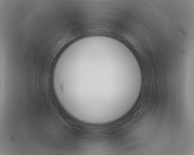 X0000113980548200910020951