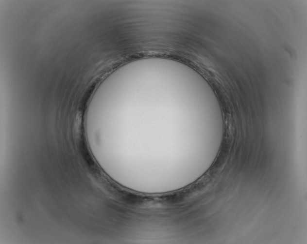 X0000113980550200910020951