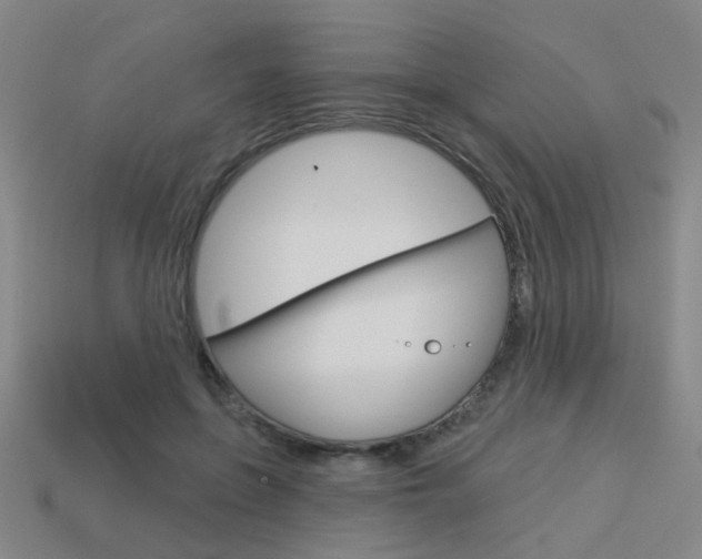 X0000113980551200910020951
