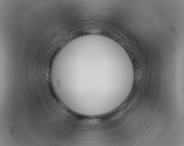 X0000113980553200910020951