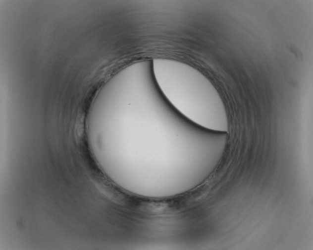 X0000113980554200910020951