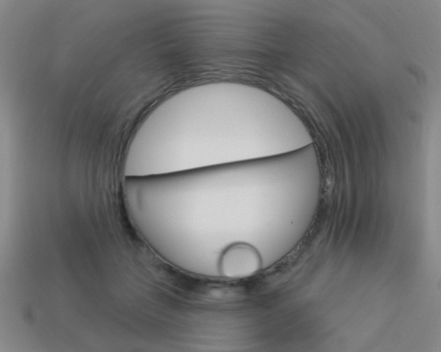 X0000113980555200910020951